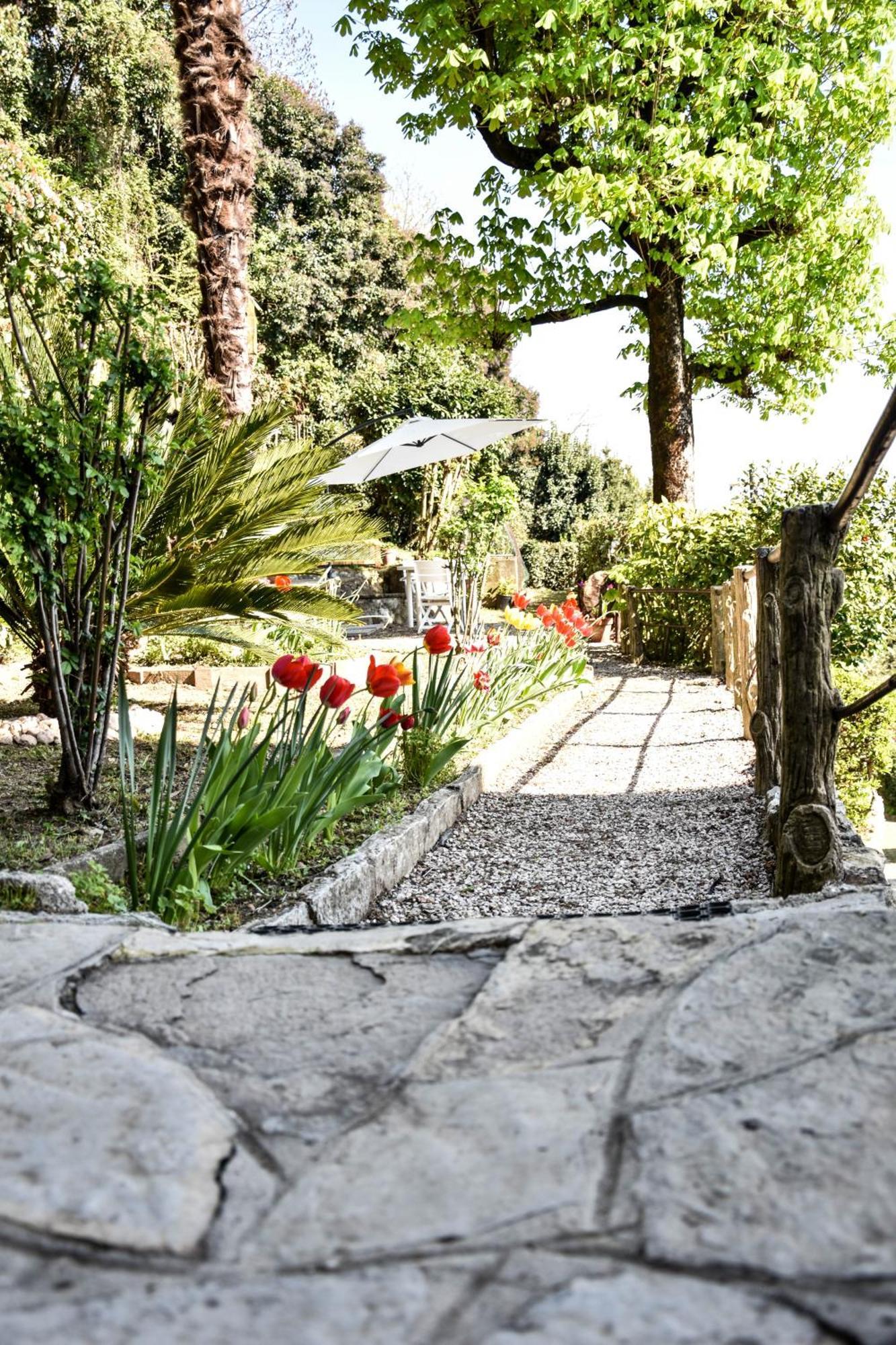 Villa Antonella, App. Vittoria Tavernerio Εξωτερικό φωτογραφία