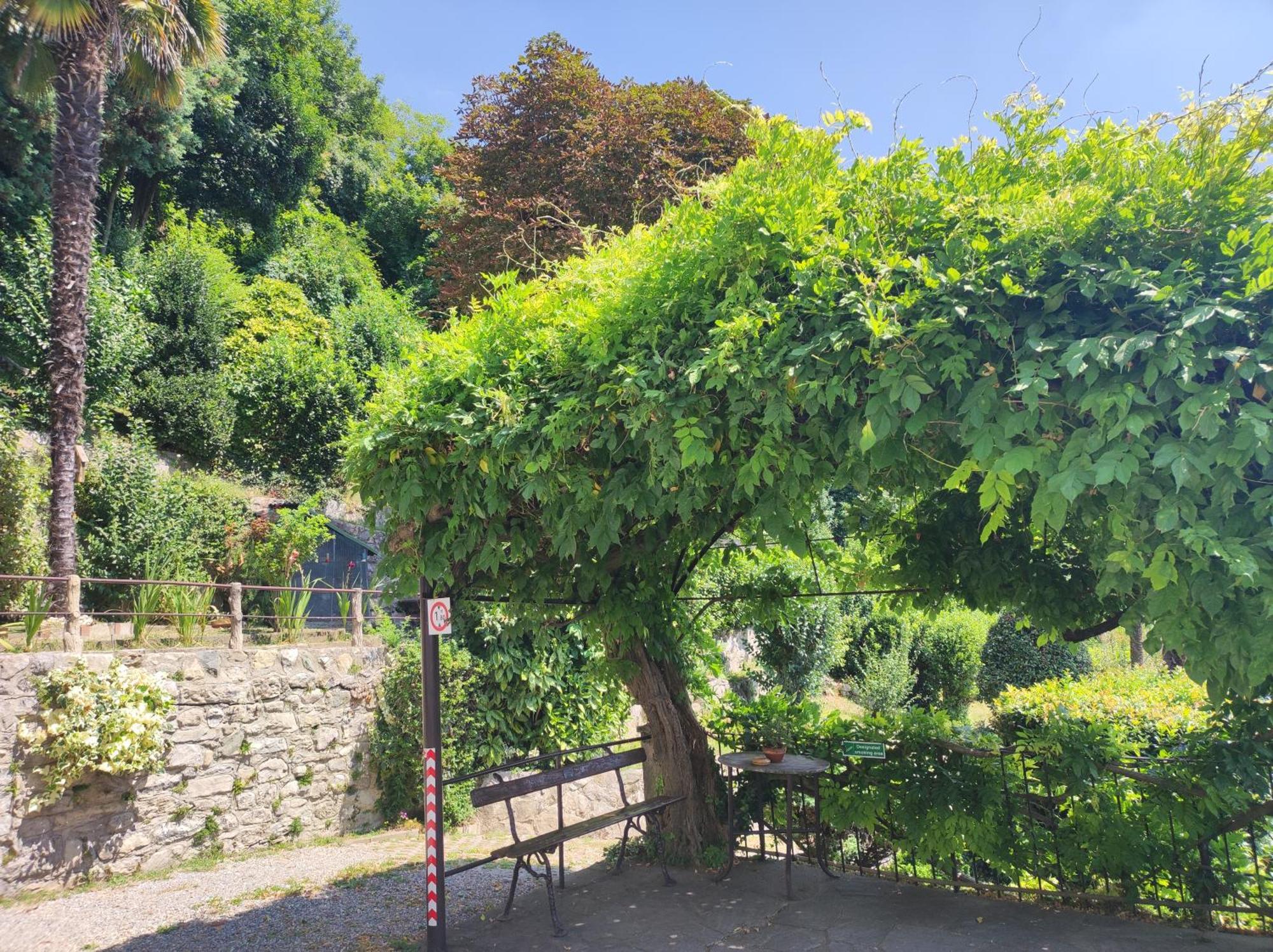 Villa Antonella, App. Vittoria Tavernerio Εξωτερικό φωτογραφία